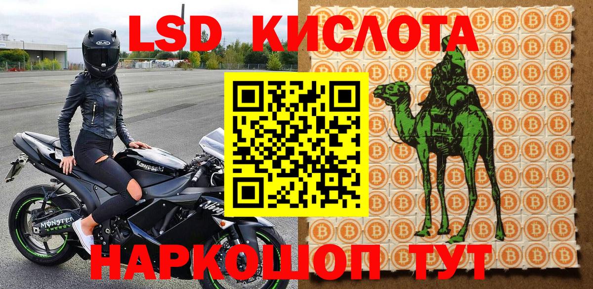 Конопля Гулькевичи