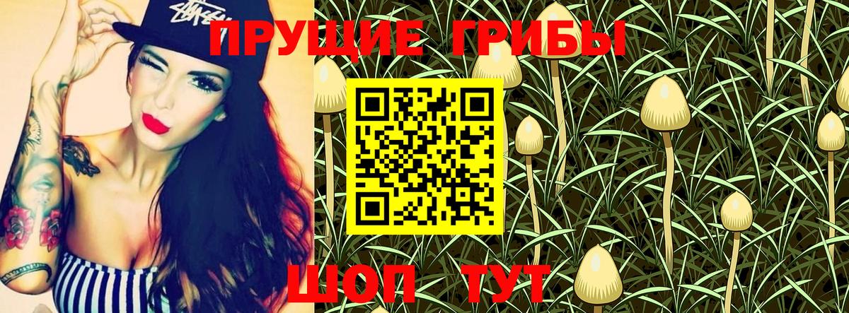 Гулькевичи  Псилоцибиновые грибы MAGIC MUSHROOMS  Псилоцибиновые грибы прущие грибы  Вход с VPN 